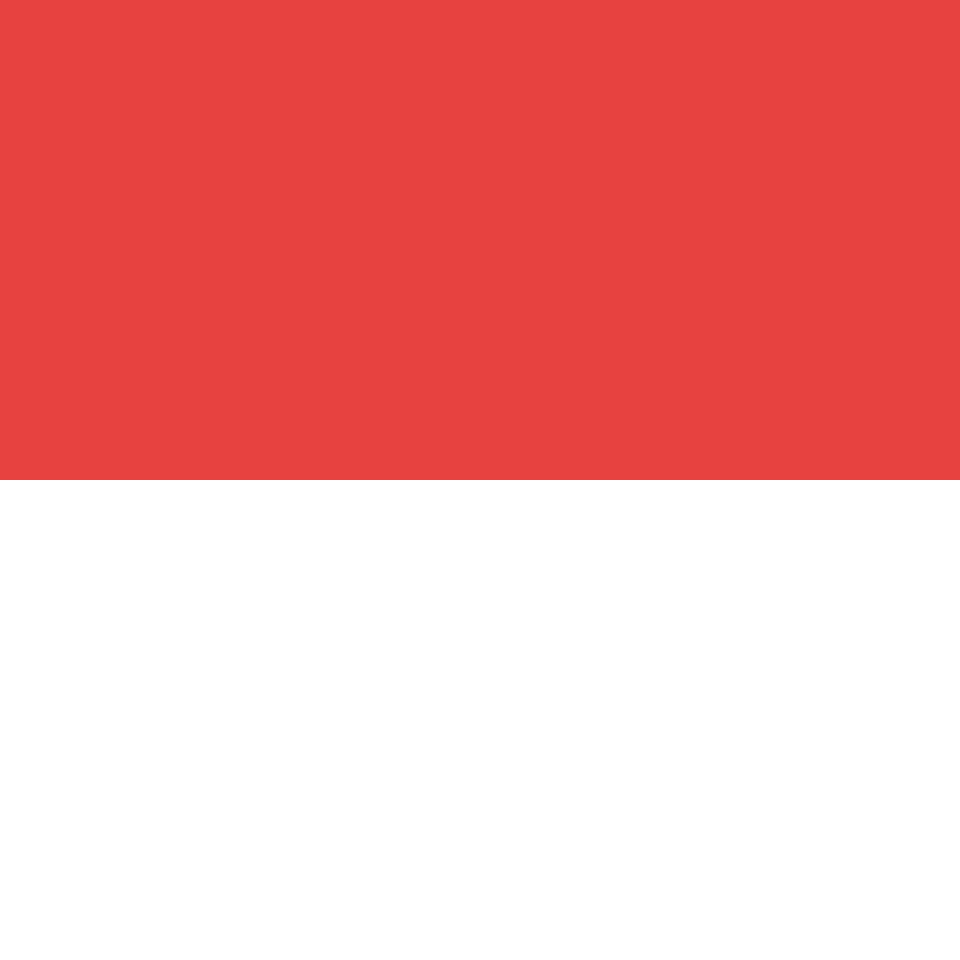 Drapeau SO