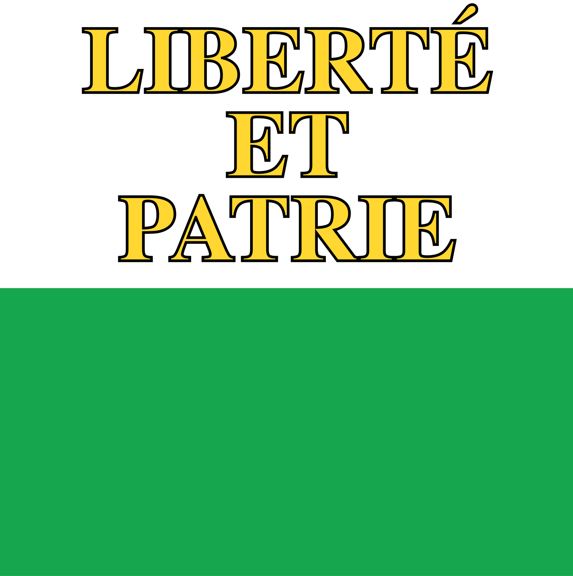 Drapeau VD