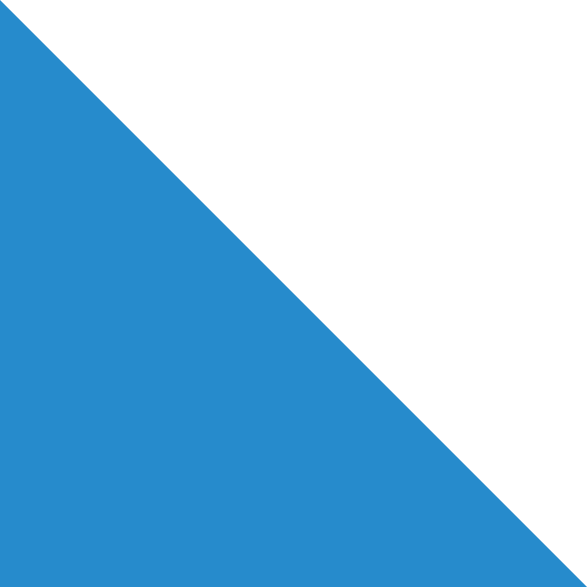 Drapeau ZH